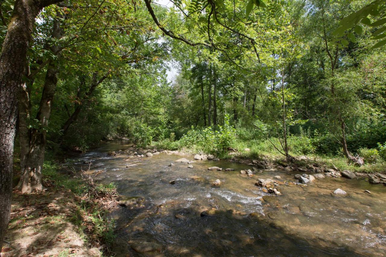 Reedy Patch Cabin Villa Hendersonville Exterior photo