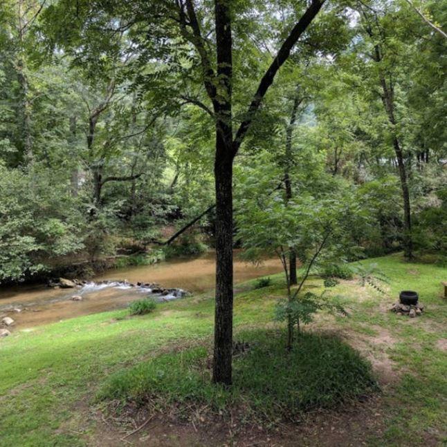 Reedy Patch Cabin Villa Hendersonville Exterior photo