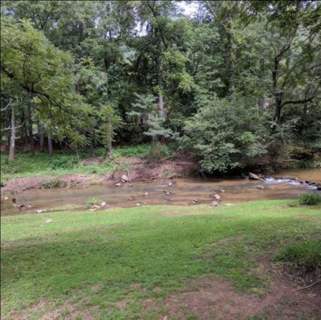 Reedy Patch Cabin Villa Hendersonville Exterior photo